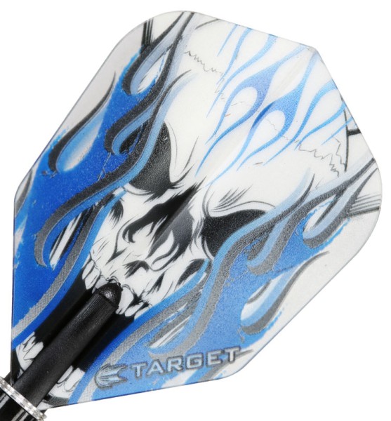 TARGET VISION PRO 100 - Flight - 3 Stück - Blue Skull Flame