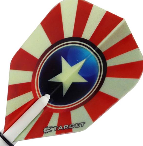 TARGET VISION PRO 100 - Flight - 3 Stück - PROFIKLASSE!
