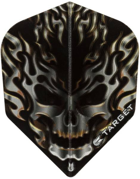 TARGET VISION PRO 100 - Flight - 3 Stück - Silver Skull