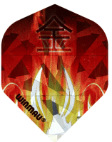 WINMAU - Flight - 3D STANDARD - 3 pieces WINMAU - Flight - 3D STANDARD - 3 pieces