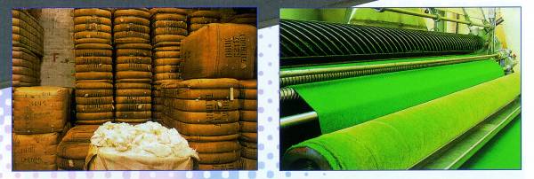 Cloth for playing surface only - West of England 6811 - 400 x 193 cm